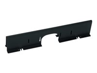 APC - Kabelavdelare med skärmning - svart - för NetShelter SX AR8173BLK