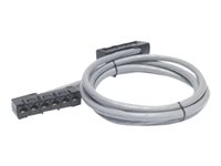 APC Data Distribution Cable - Nätverkskabel - TAA-kompatibel - RJ-45 (hona) till RJ-45 (hona) - 3.4 m - UTP - CAT 5e - stigare - grå DDCC5E-011
